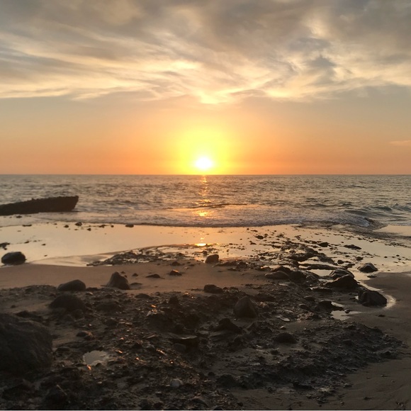 🌟Meet your Posh Ambassador, Diane - Picture 7 of 15